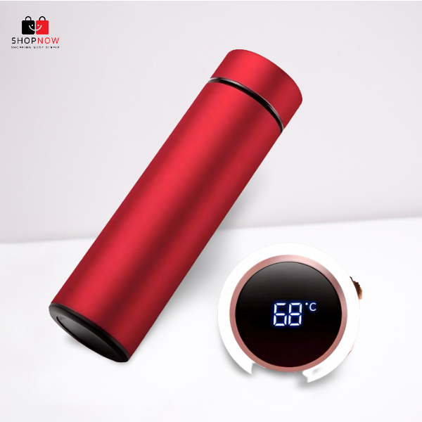 Water Bottle With Digital Led Temperature Display